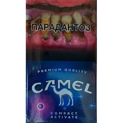 Camel Compact Activate Purple Camel Compact Activate Purple